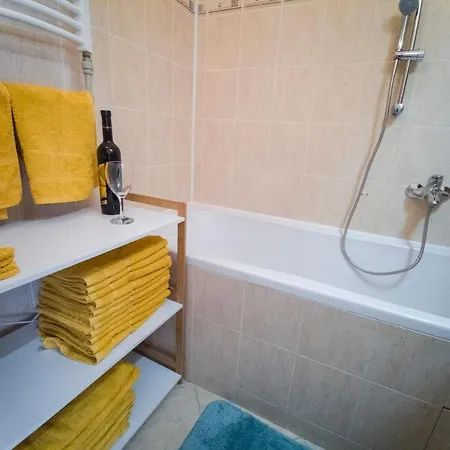 Apartment Flexihome Sk - Vodna - City Centre - With Ac